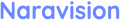 나라비전 Logo