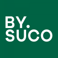 바이슈코 Logo