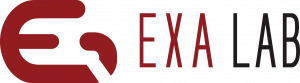 엑사랩 Logo
