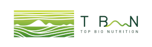 티비앤 Logo