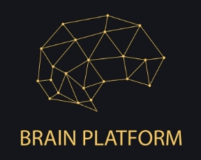 브레인플랫폼 Logo