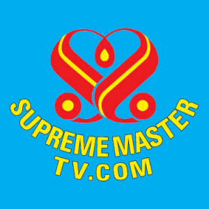 Supreme Master TV Logo