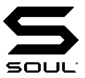 소울 Logo