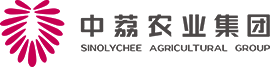 시노여지 Logo
