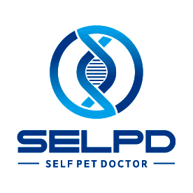 셀피디 Logo