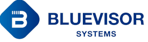 블루바이저시스템즈 Logo