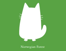 노르웨이숲 Logo
