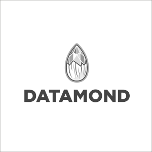 데이타몬드 Logo