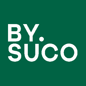 바이슈코 Logo