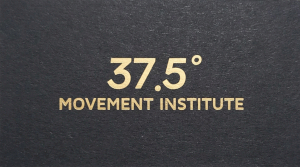 375Movement Institute Logo