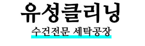 유성클리닝 Logo