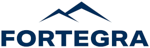 포르테그라 그룹 Logo