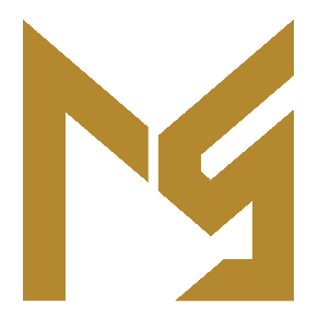 엠앤에스홀딩스 Logo