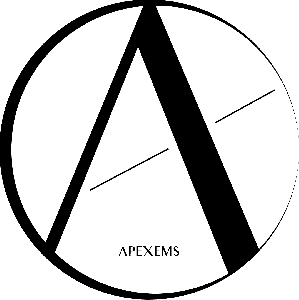 에이펙스이엠에스스튜디오 Logo