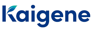 카이진 Logo