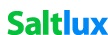 솔트룩스 Logo